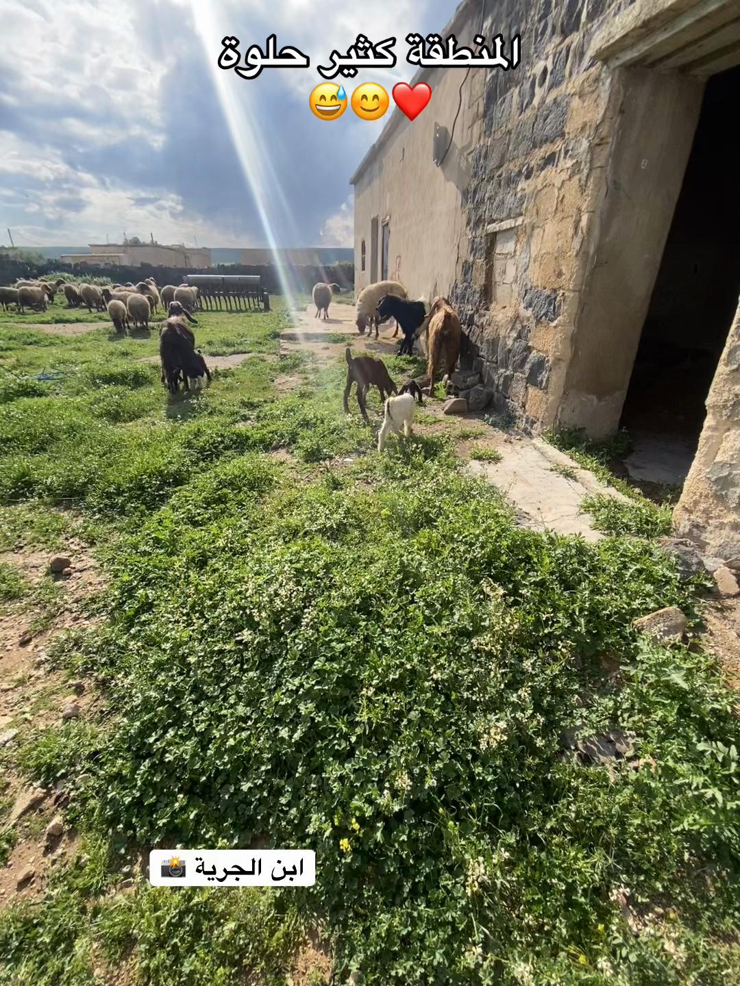 @أبن الجرية 📸