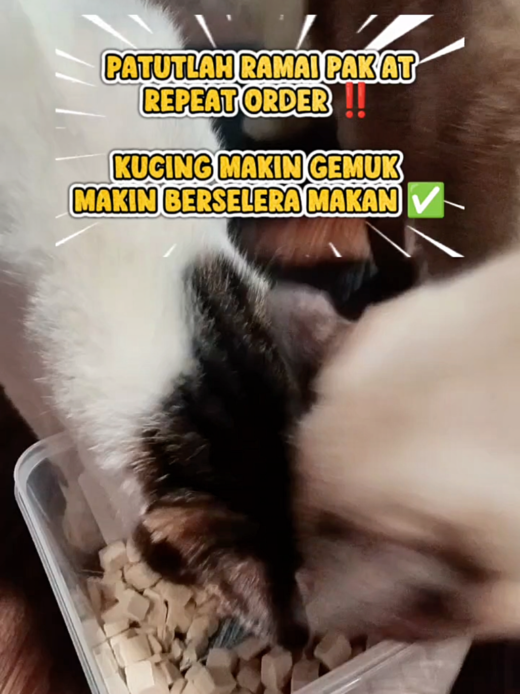 @Norazrena | Racun Tiktok