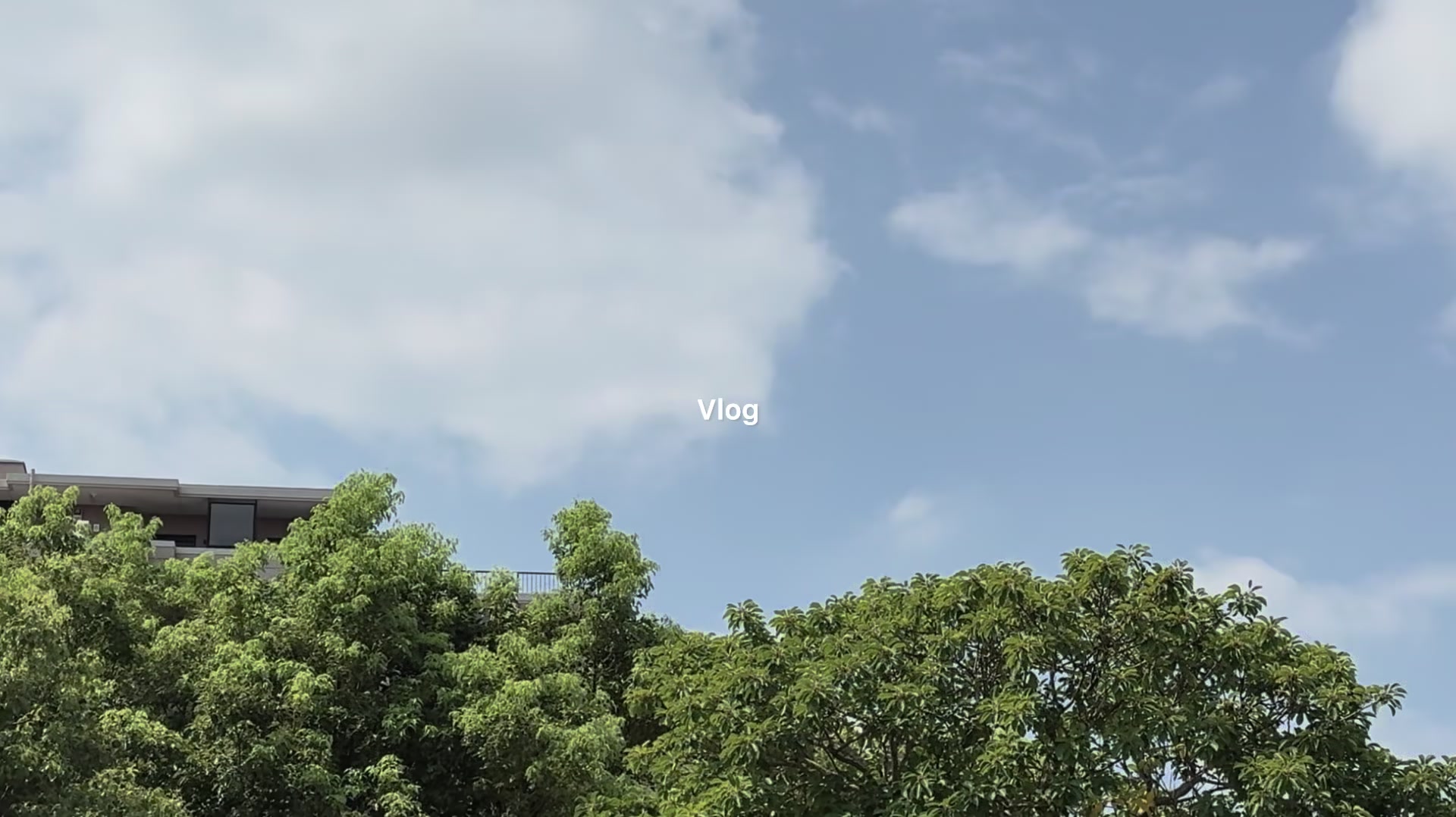 @ソ ル
