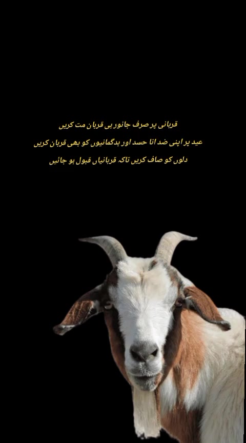 @Pk Drama 896