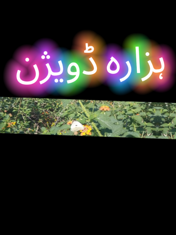 @Saeed_In_Motion
