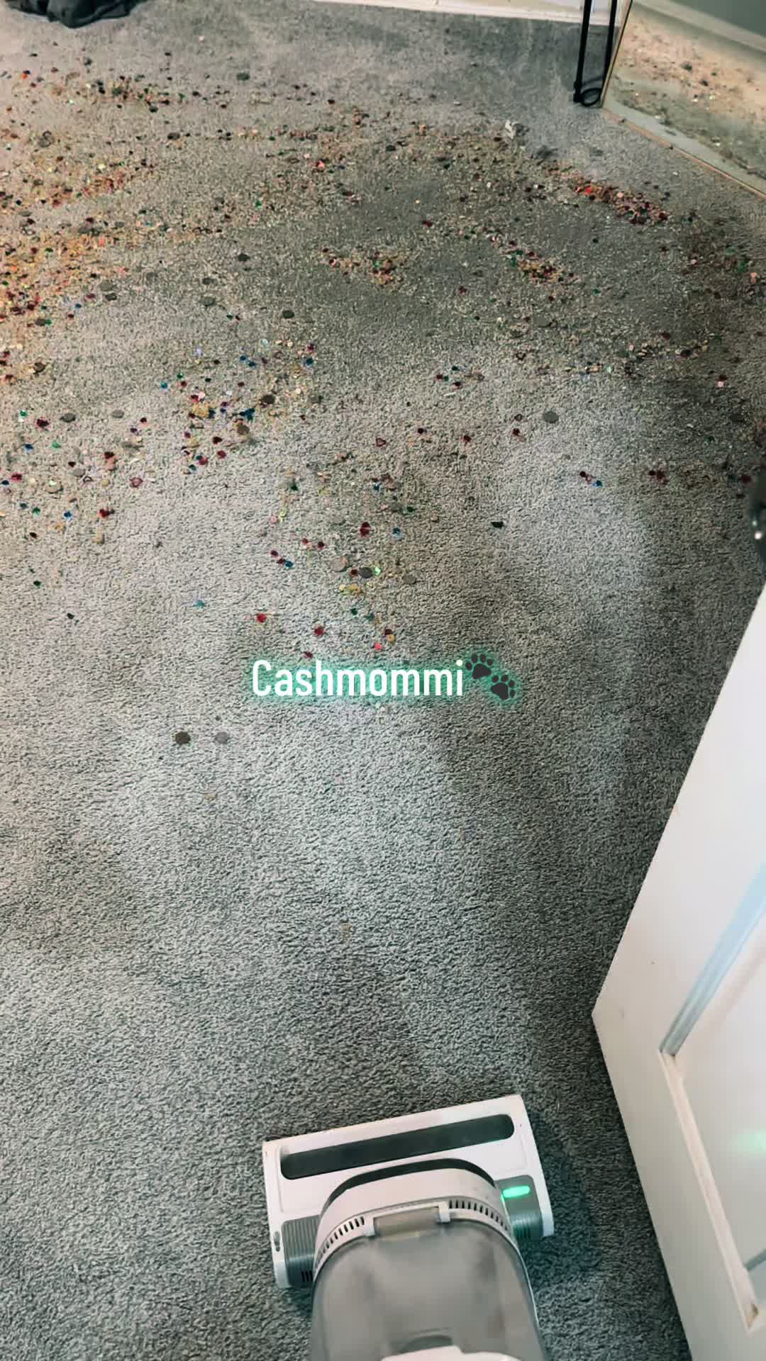 @CashmommiVacs