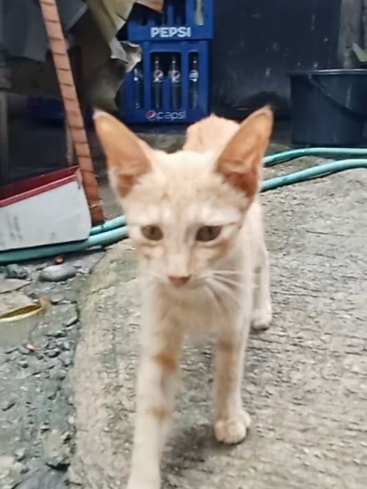 @๐ฅโ
๐๐๐๐๐กโ
๐ฅ