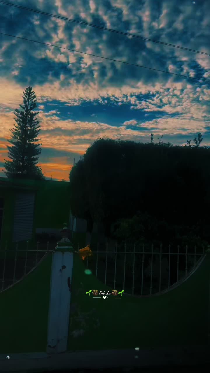 @🌱🦥Sel Lm🦥🌱