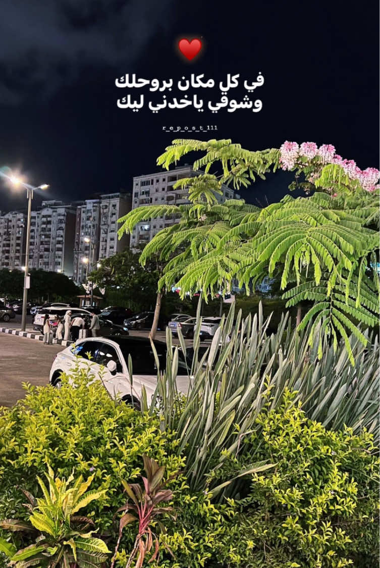 @𝐑𝐄𝐏𝐎𝐒𝐓ا🔁