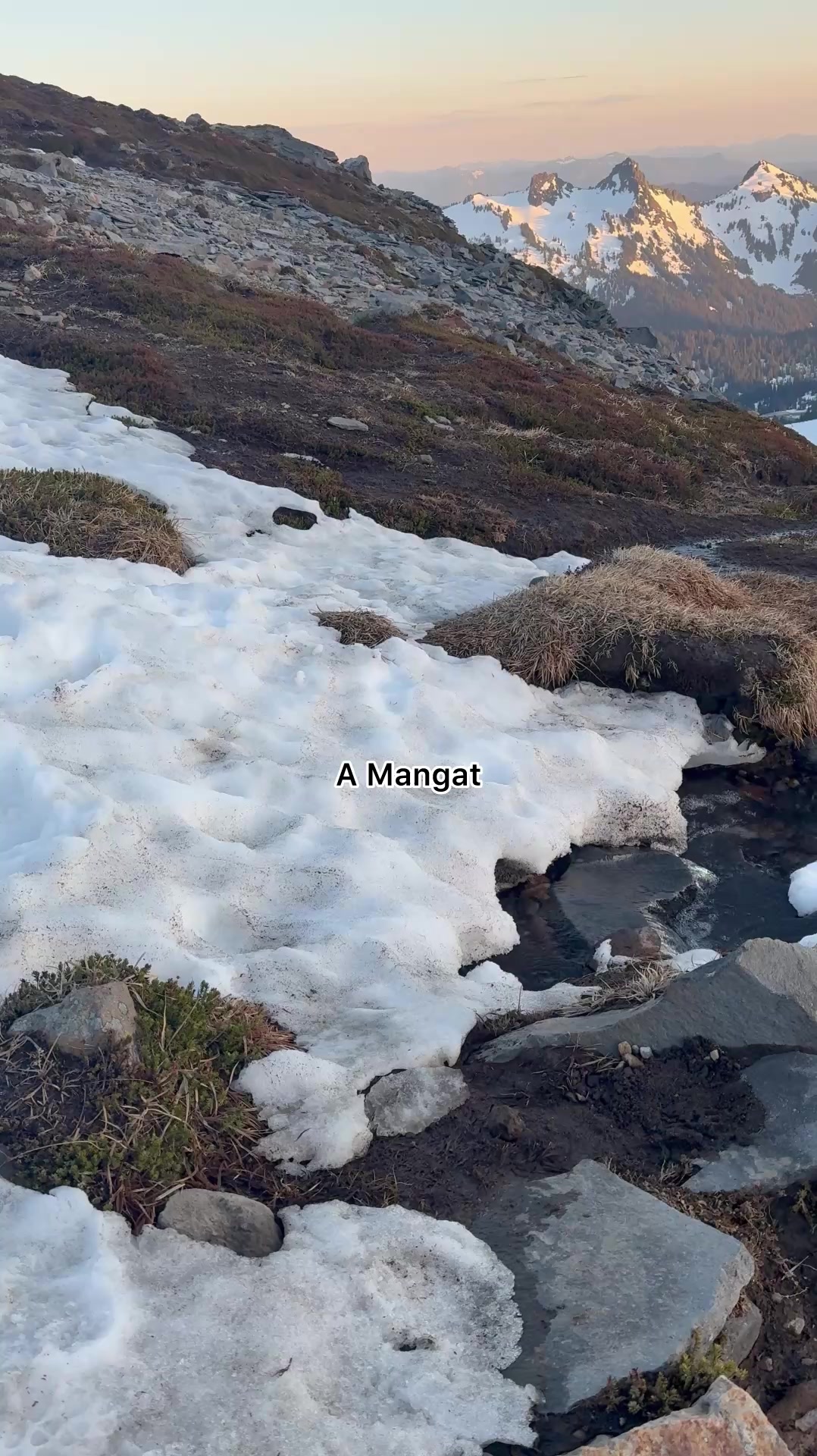 @A Mangat