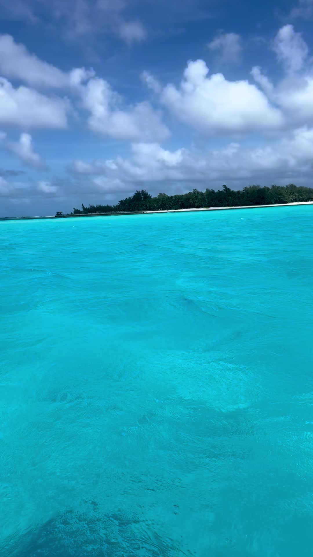 @Seanna Banana 🇲🇵