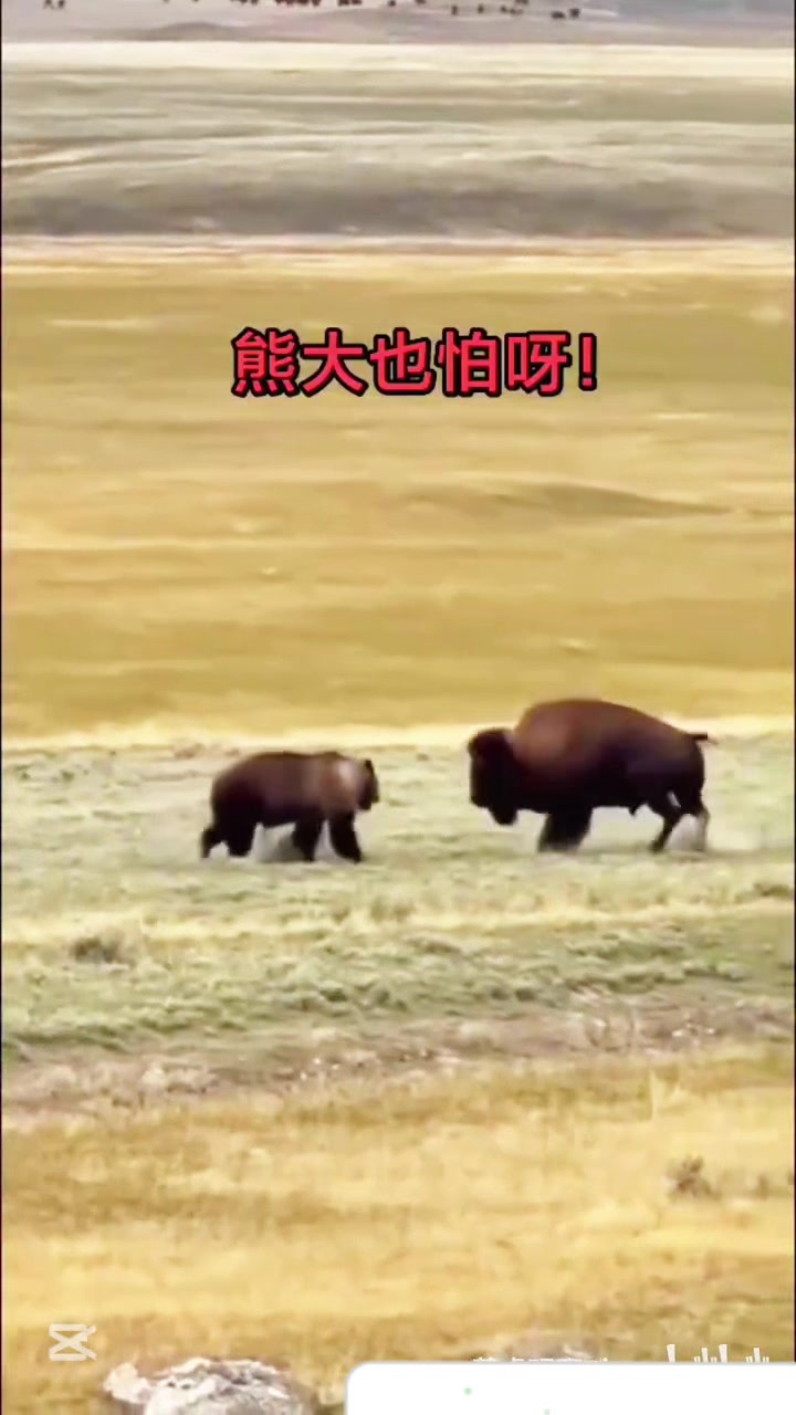 @liujiangyu