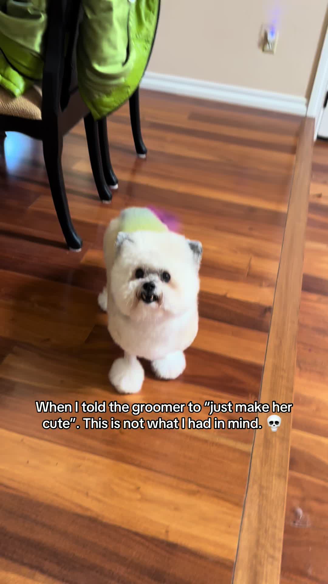 @Katie 🏳️&zwj;🌈