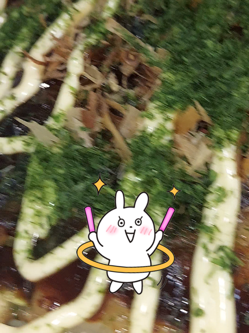 @かんにゃんののべつまくなし