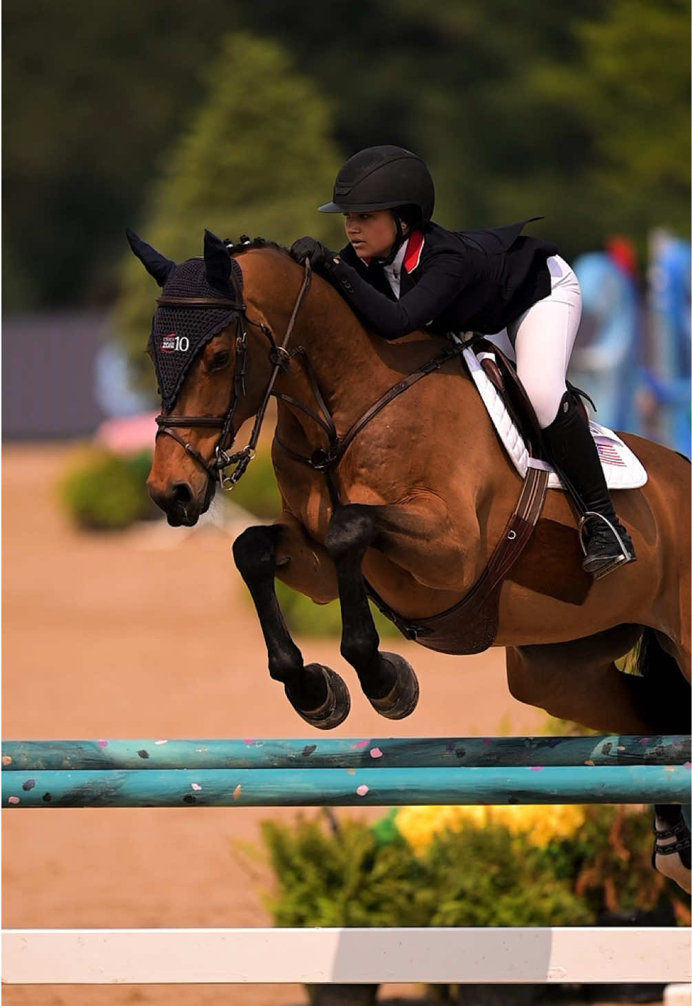 @corderoequine
