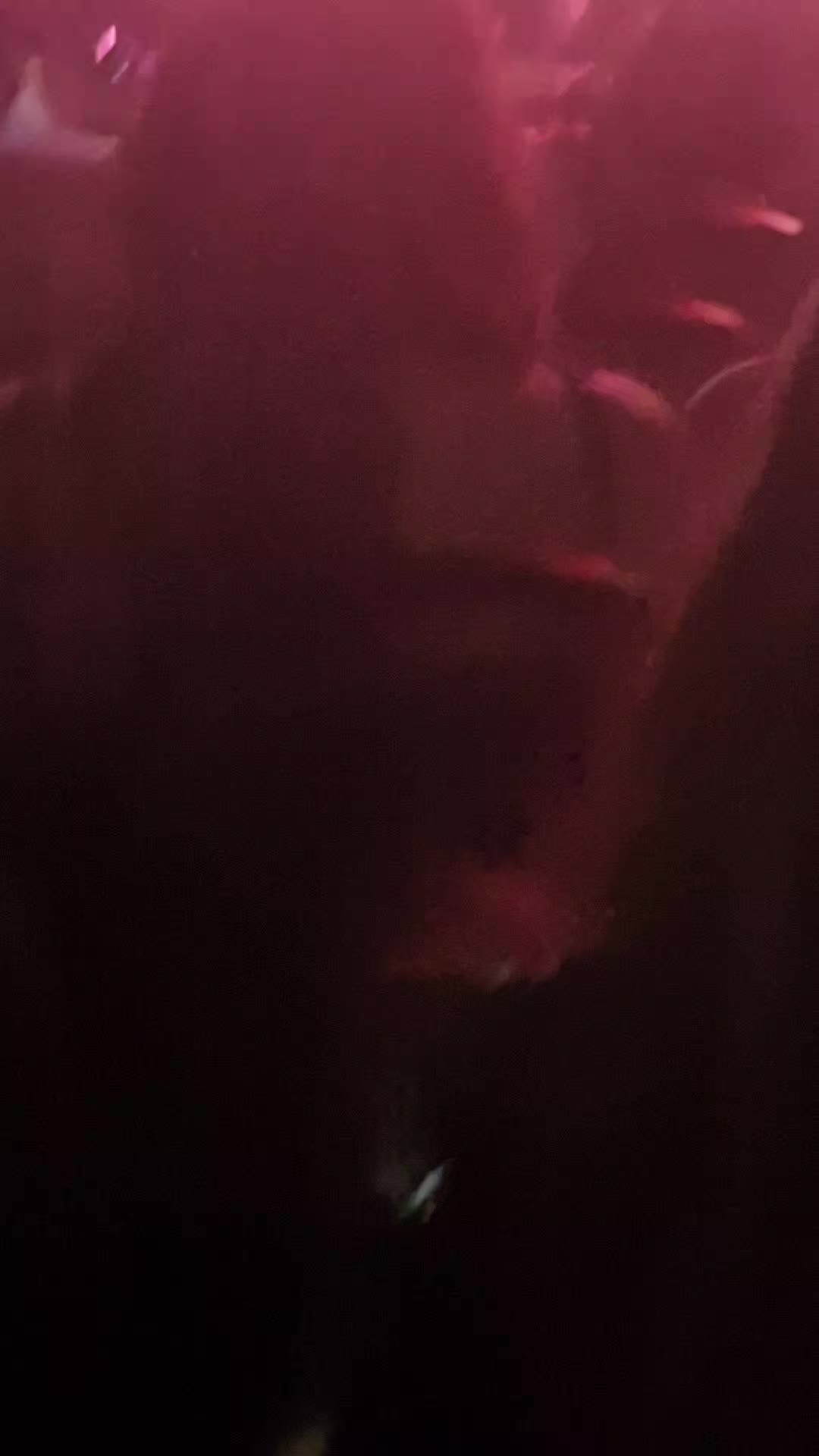 @boutini05