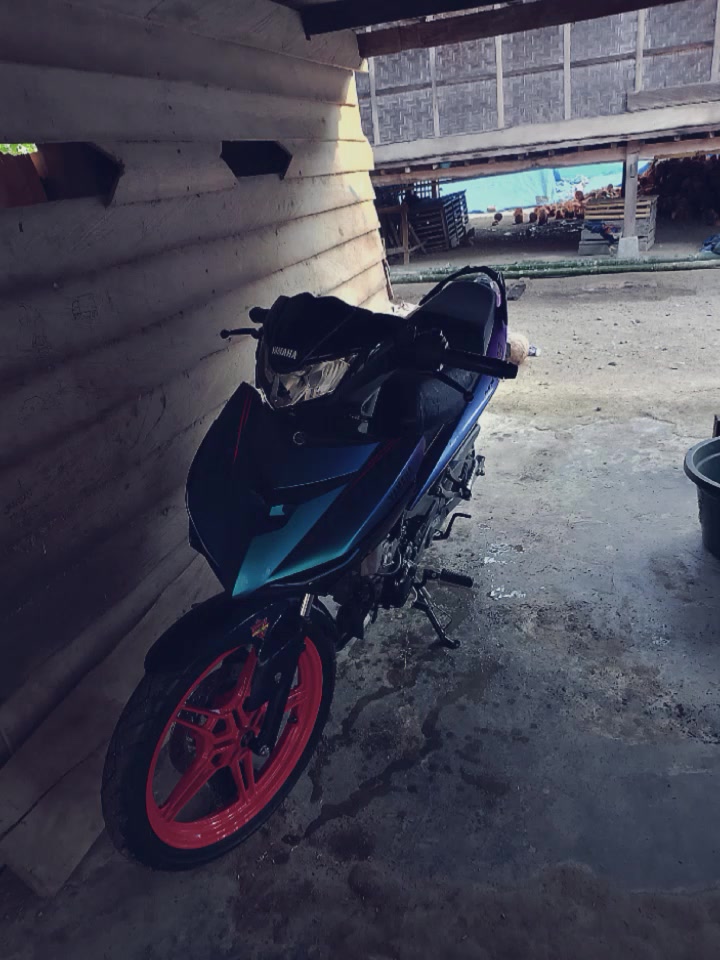@Mx bocil🚀