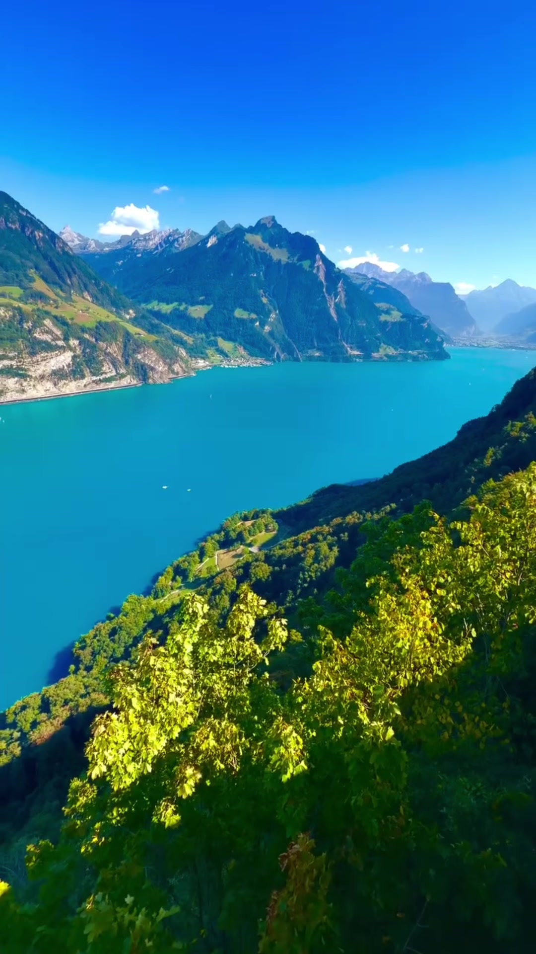 @S̳w̳i̳s̳s̳🇨🇭s̳c̳h̳w̳e̳i̳z̳