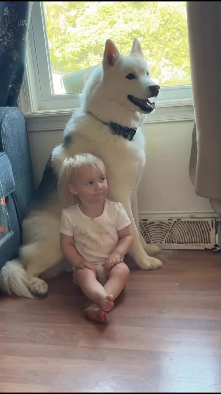 @FourHuskyteers