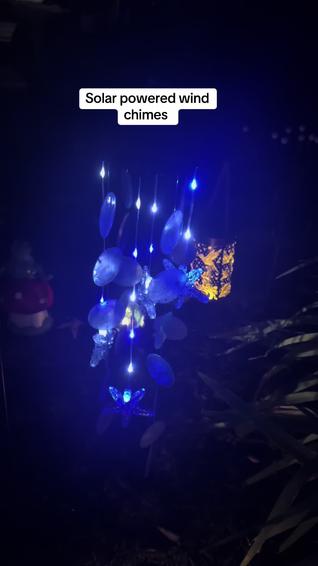 @Queenlovefrogs
