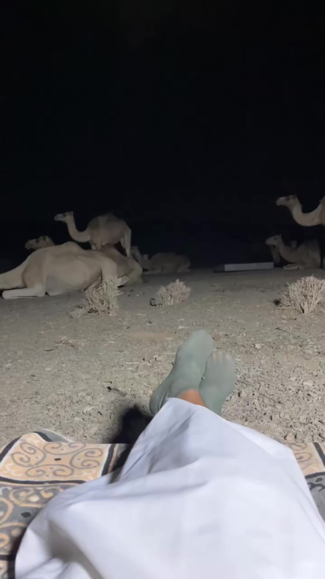 @سليمان البلوي