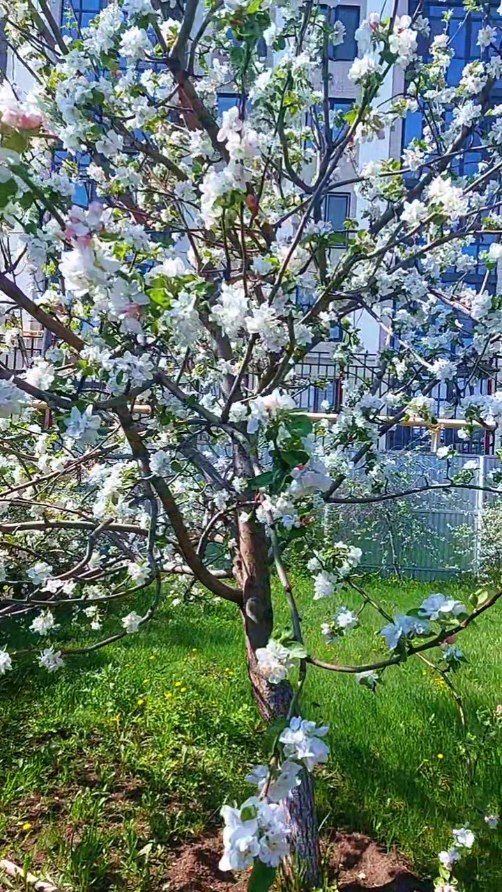 @ЛАРОЧКА МАЛЕНЬКАЯ ДЕВОЧКА)))
