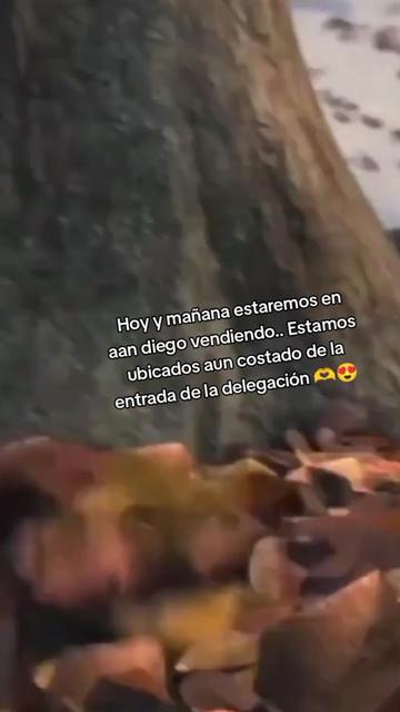 @Berenice Varela