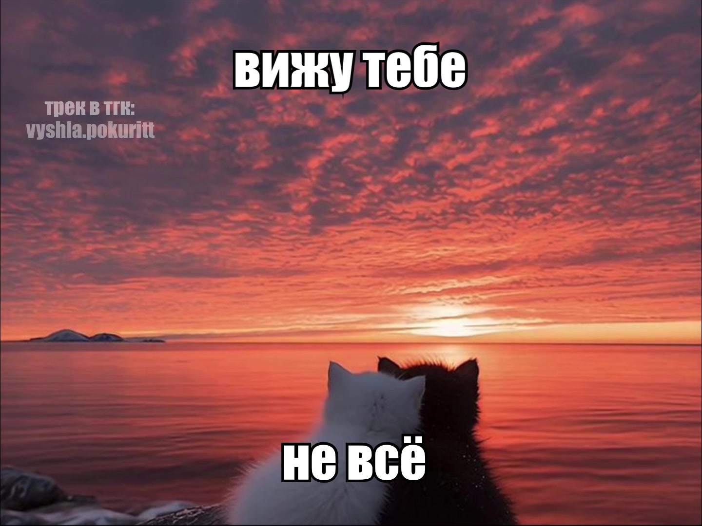 @вышла покурить