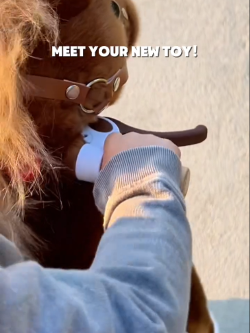 @PonyCycle
