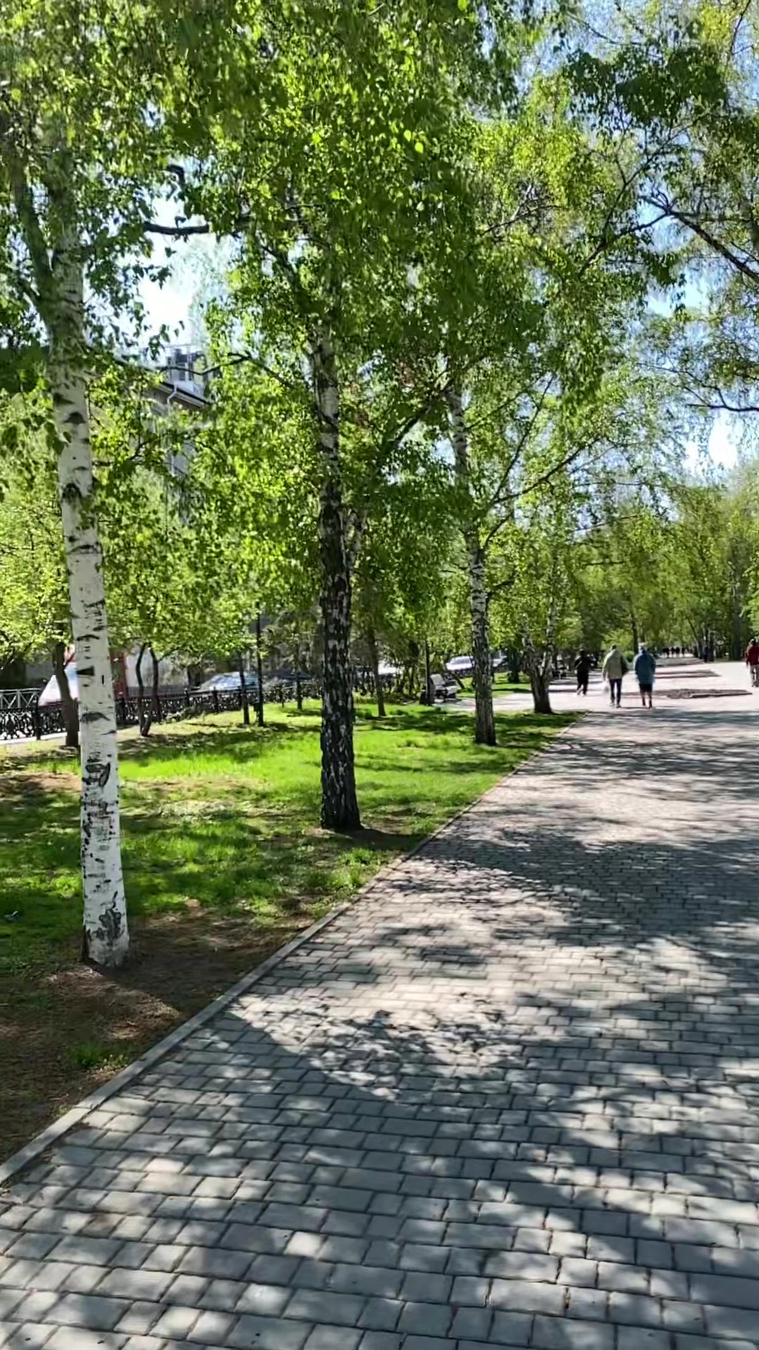 @kg___sibir