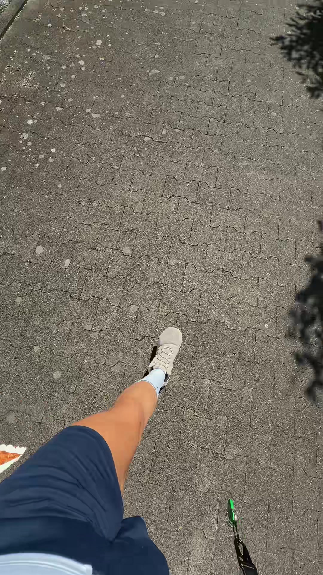 @Janina el Arguioui