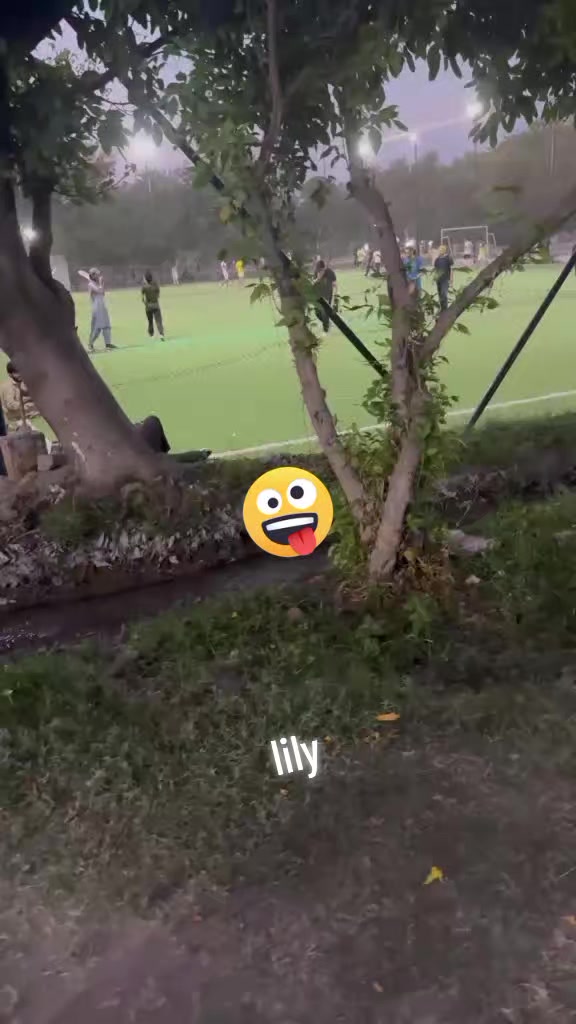 @lilylily4444