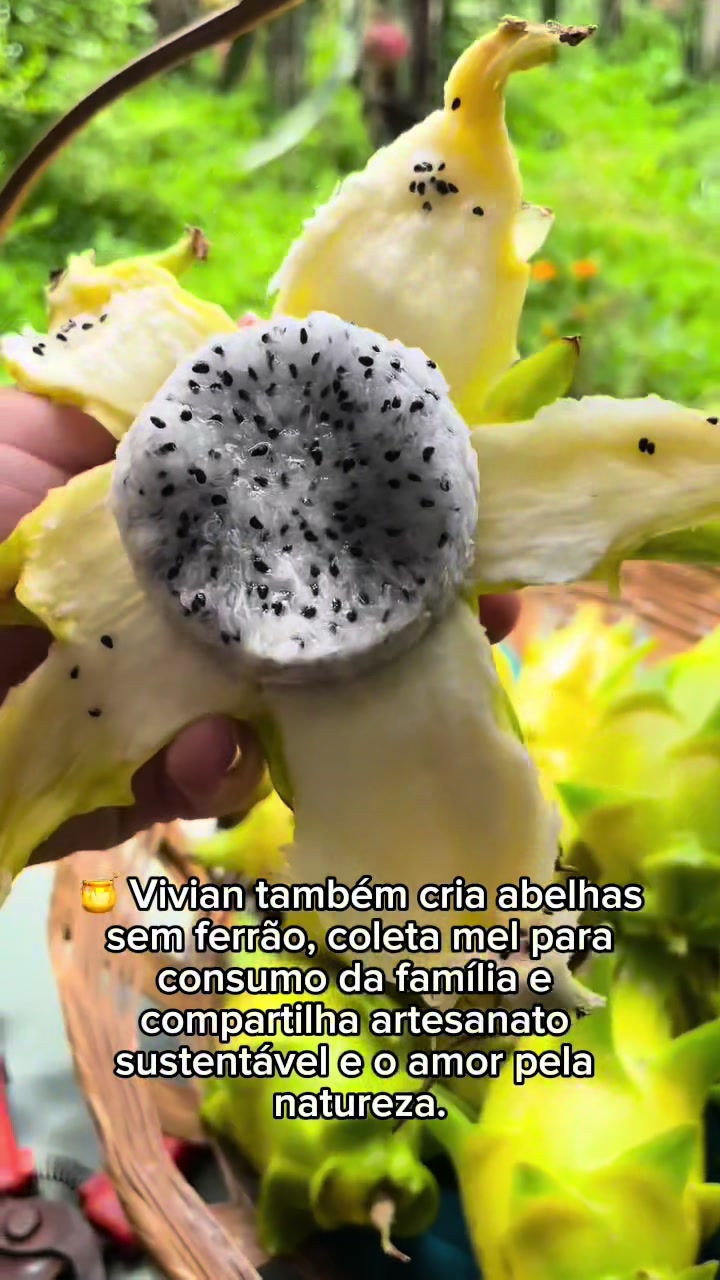 @Rainha da pitaya 🌵👑