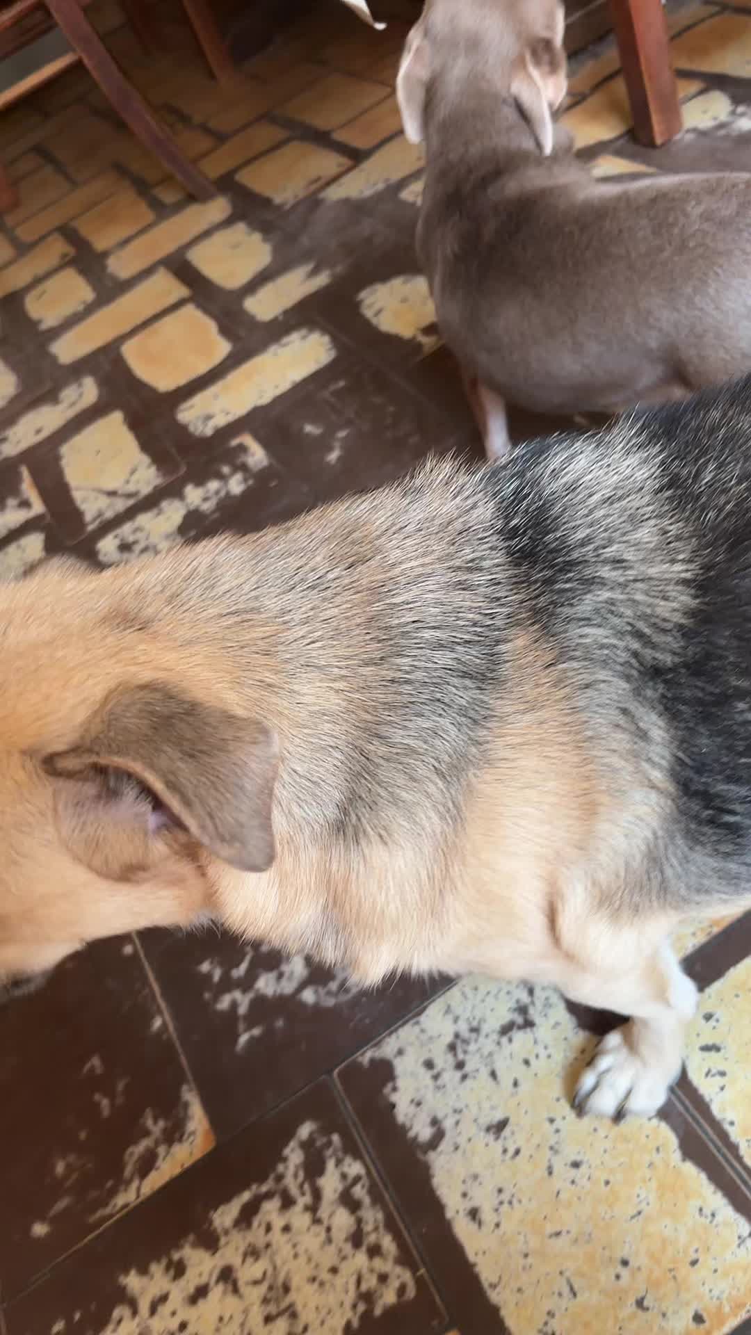 @Chatchientok