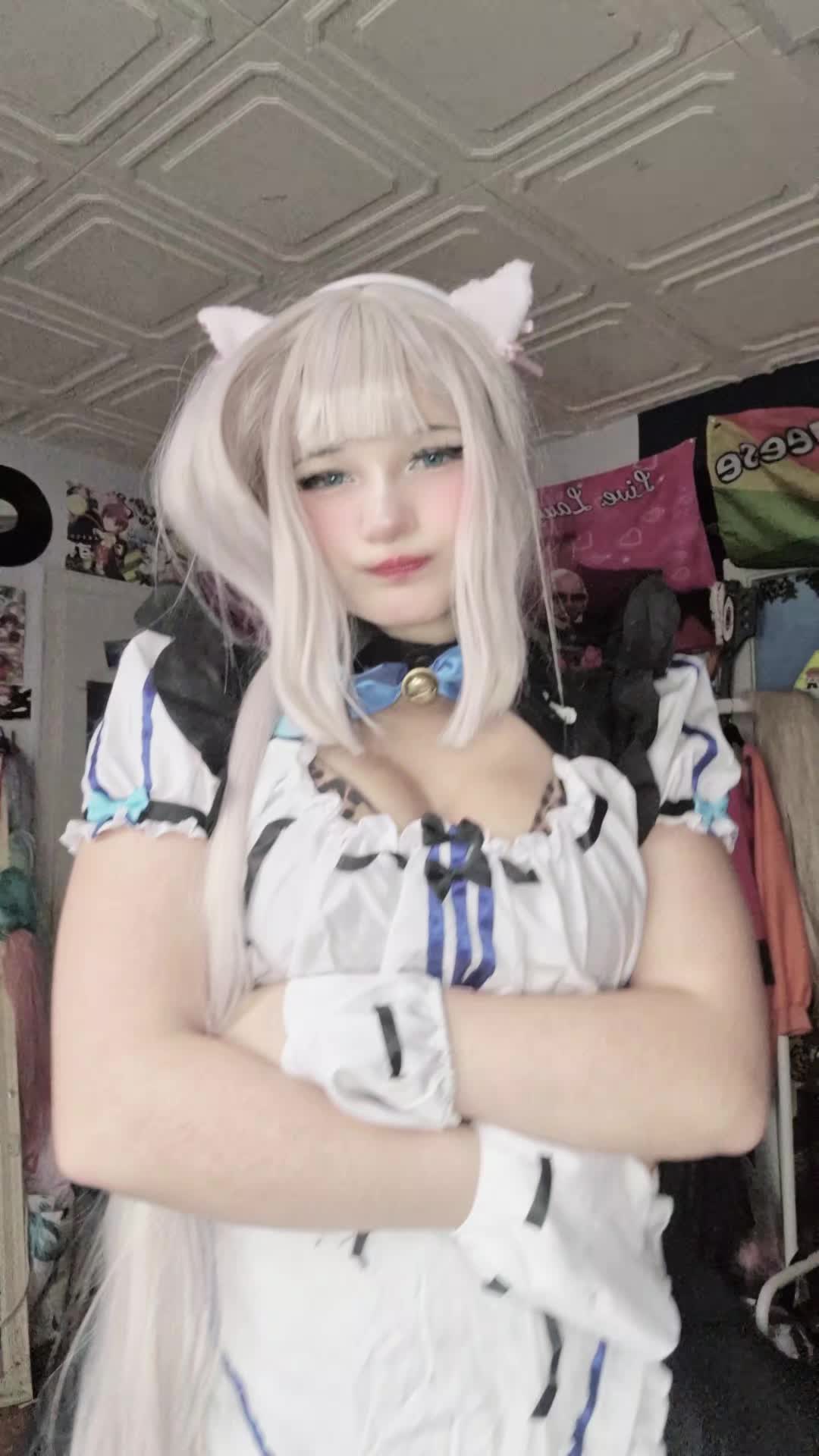 @lala (=^・ω・^=)