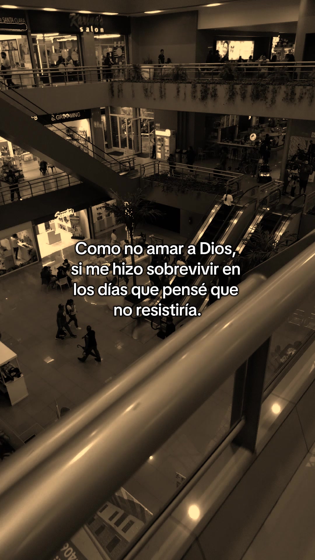 @Elizabeth_Quim/29 💫