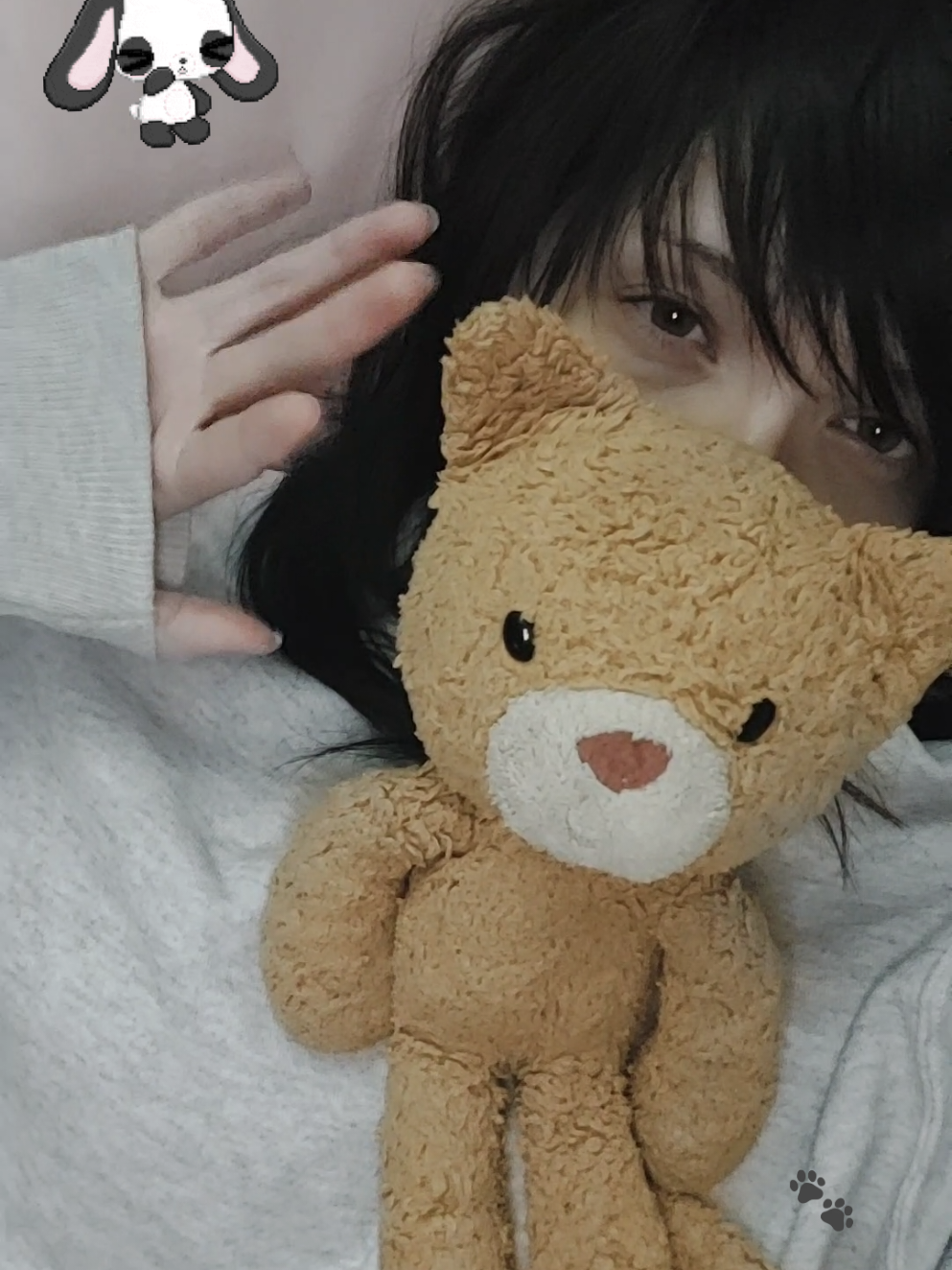 @momo🐾