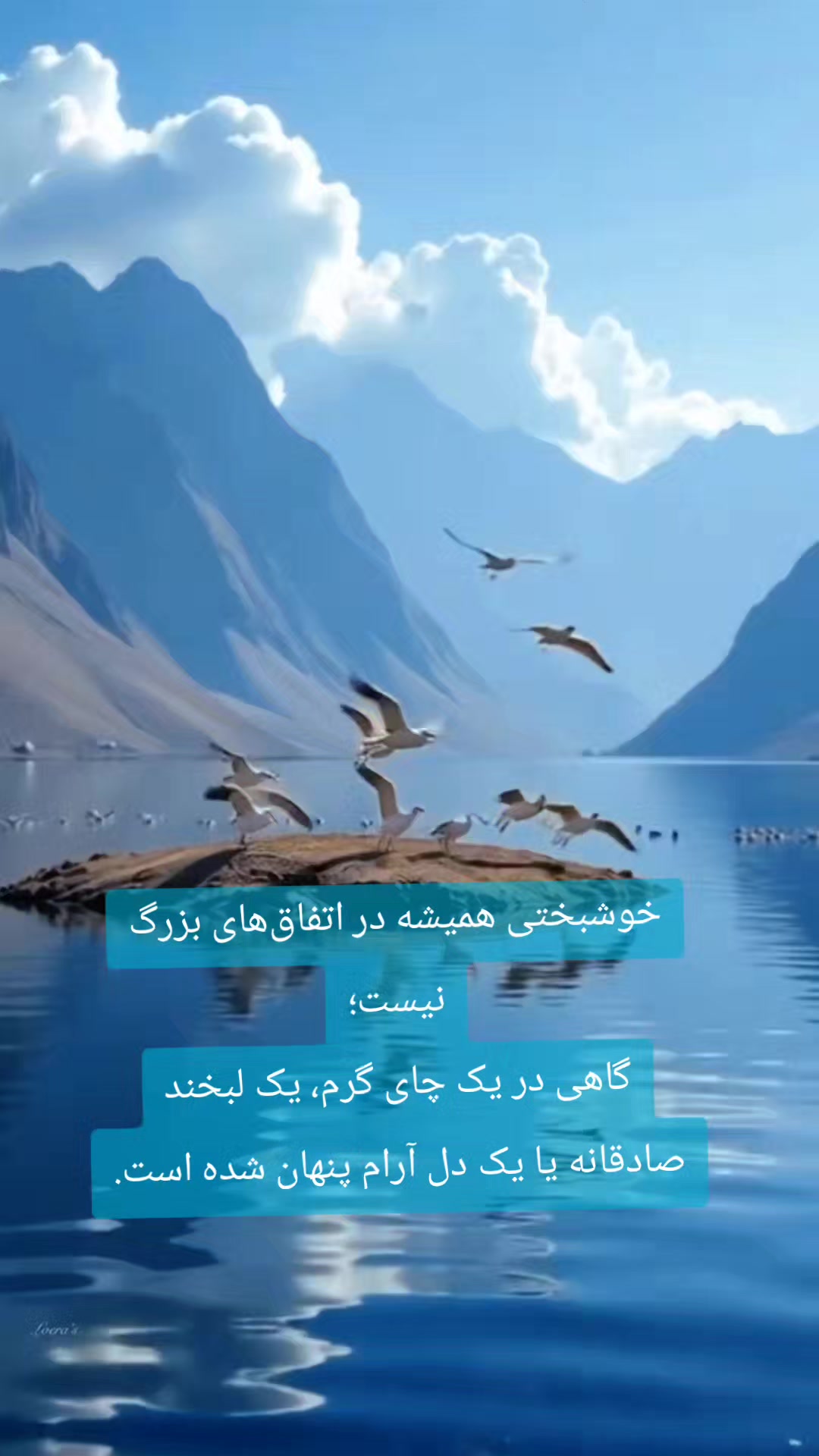 @n.m