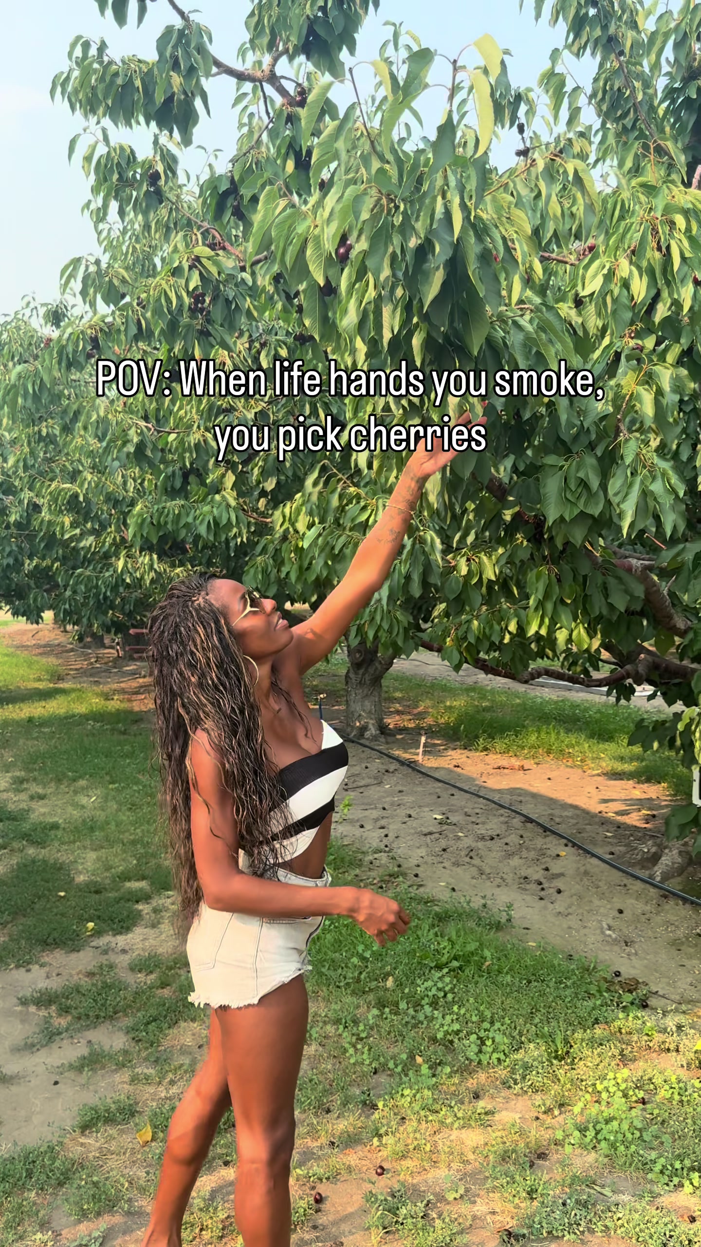 @Latasha Mitchell