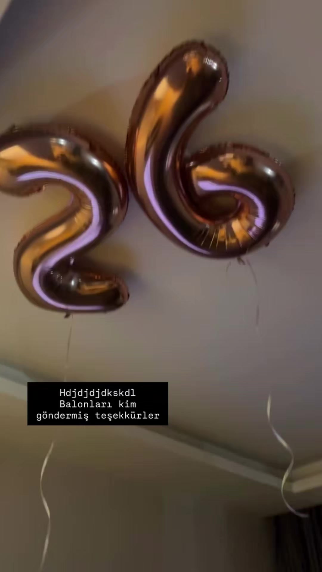 @yakamoz𑁤