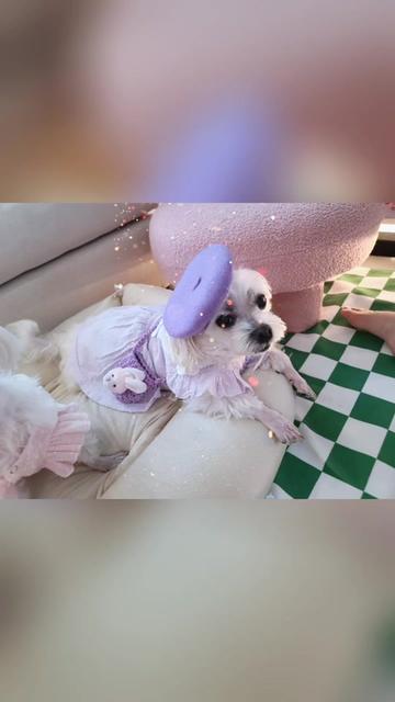 @아콩맘♡