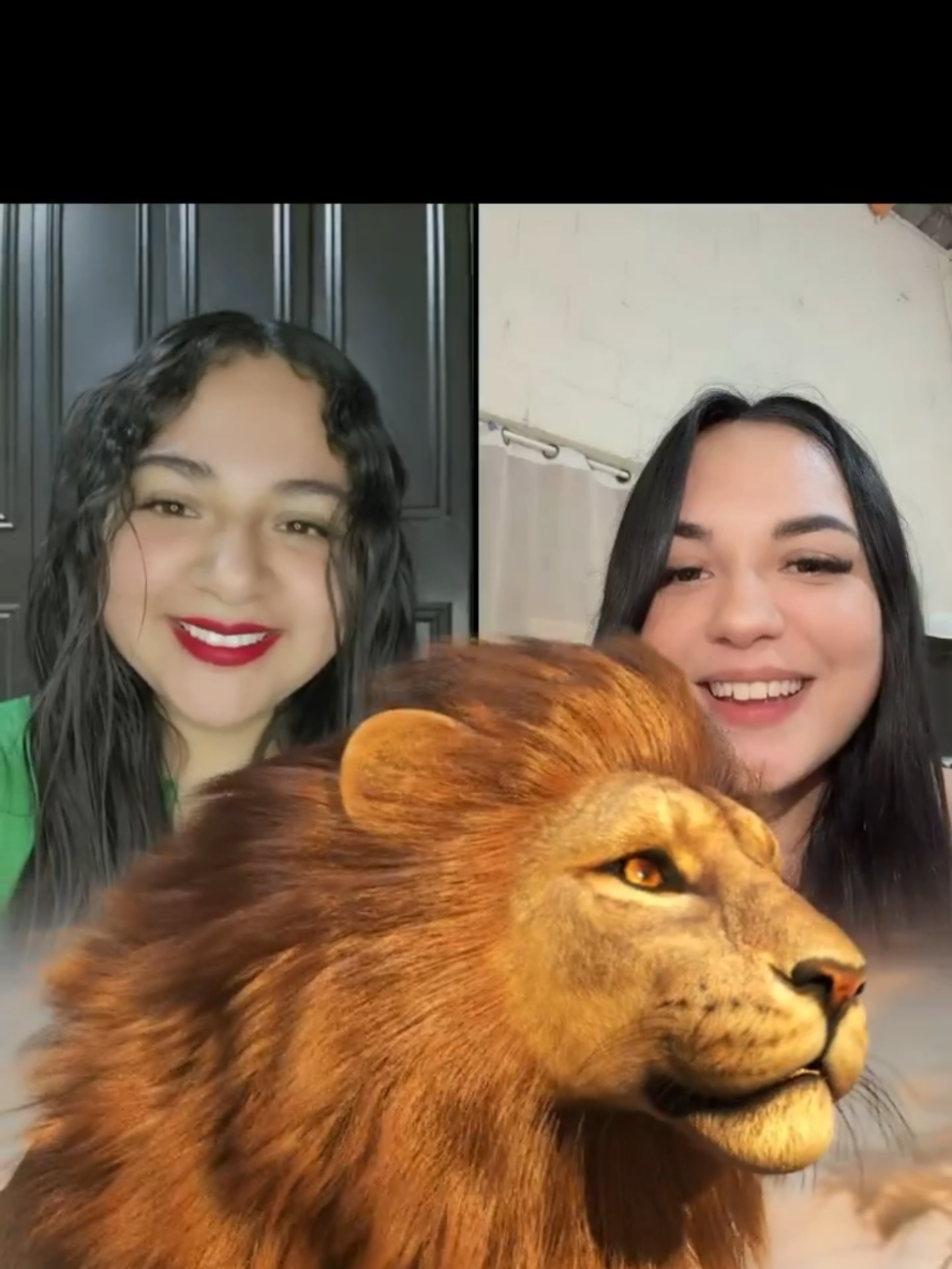 @Sofia Ruiz🦋 🦋🦋