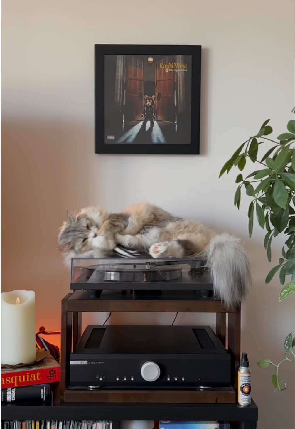 @Leon The Vinyl Cat