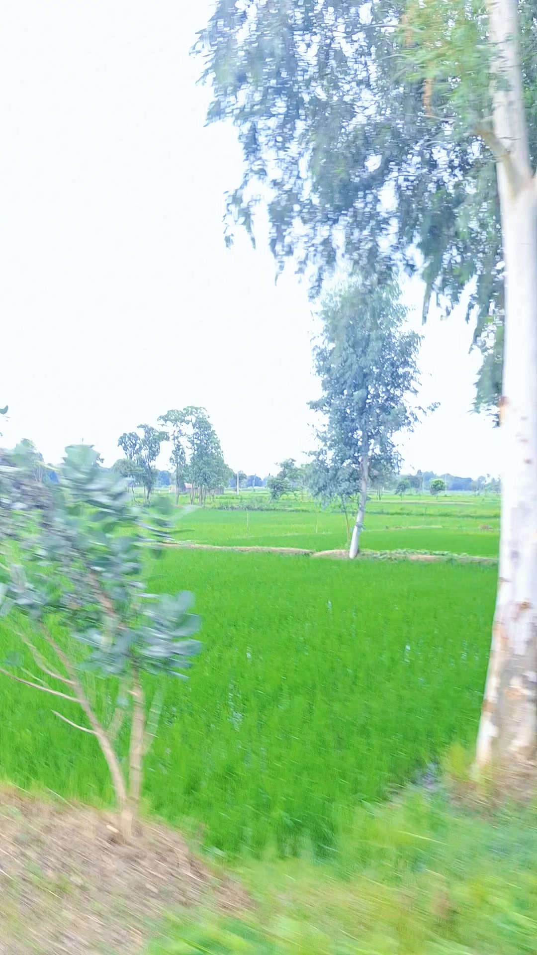 @अनिल  प्र.विश्वकर्मा(कालेकोटे)
