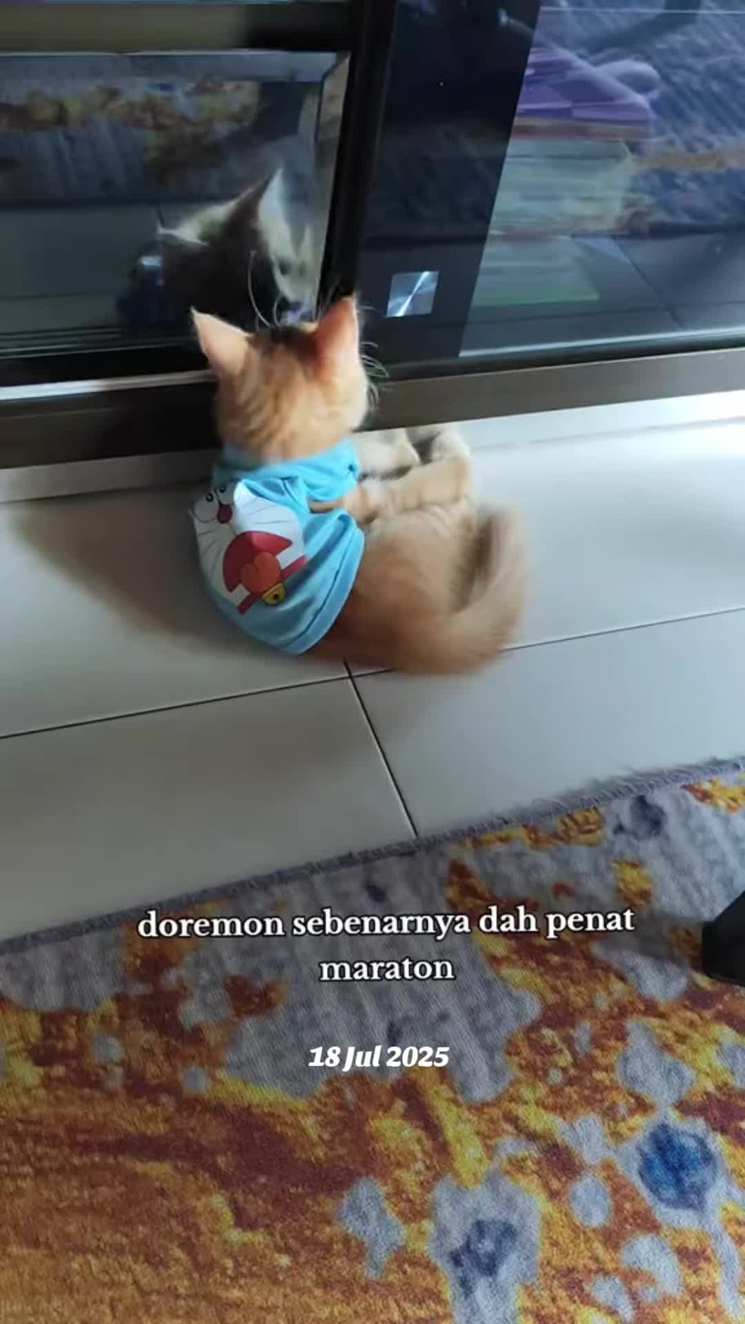@Omma Kucing 🇲🇾🍉