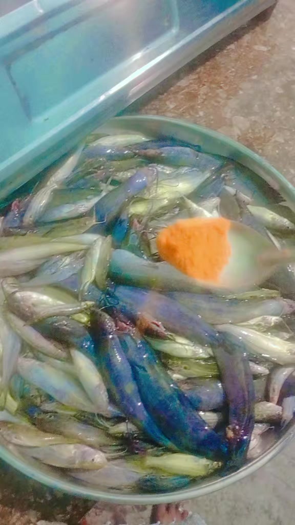 @Queen ji