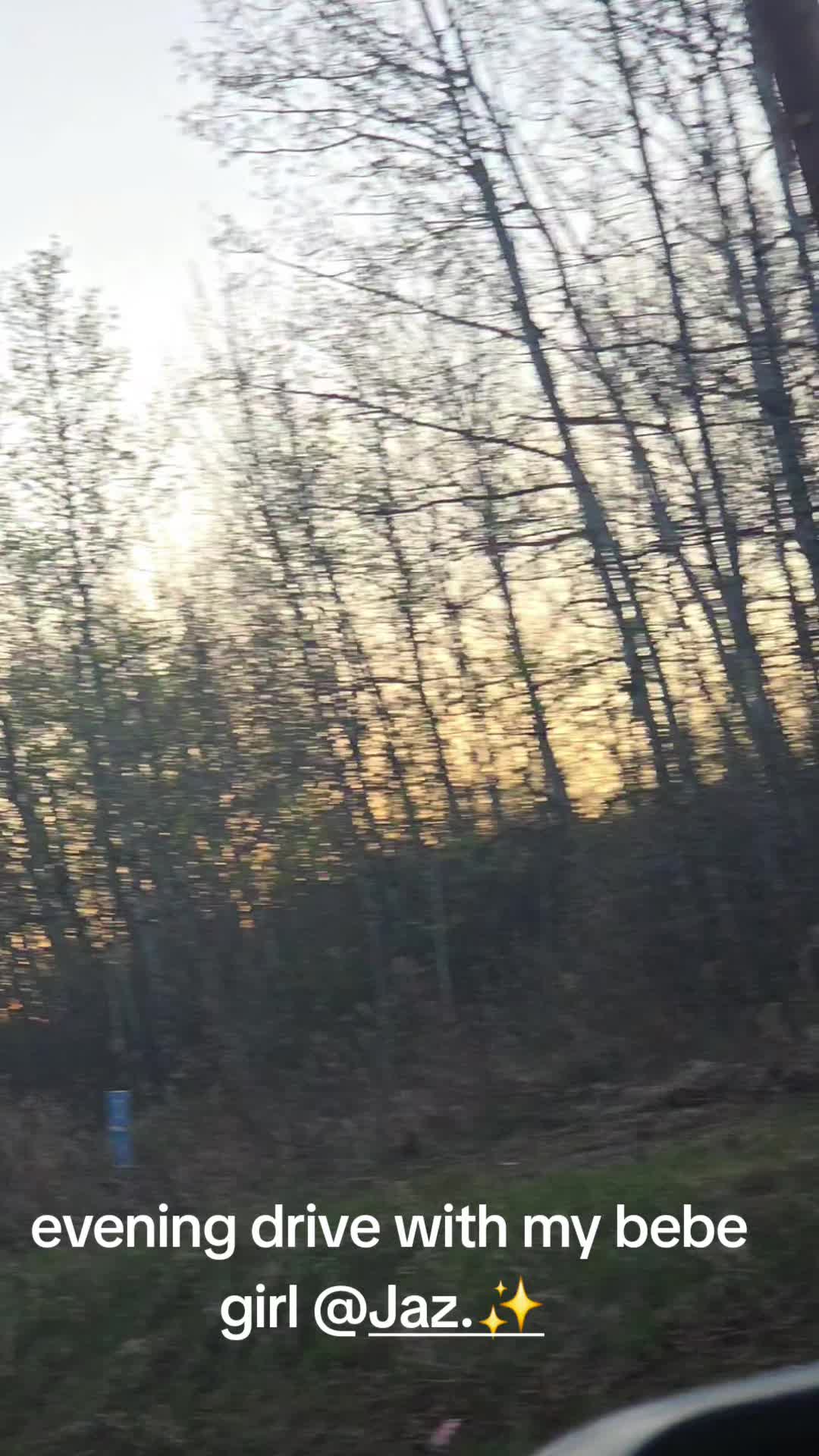@POISON IVY 🇨🇦