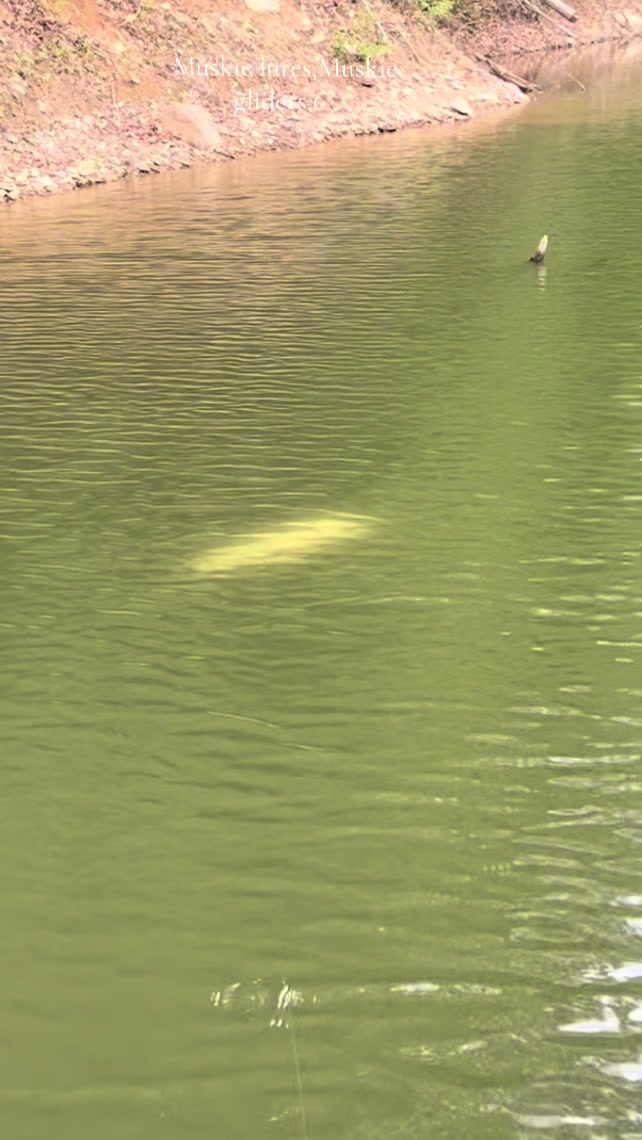@JW Lures