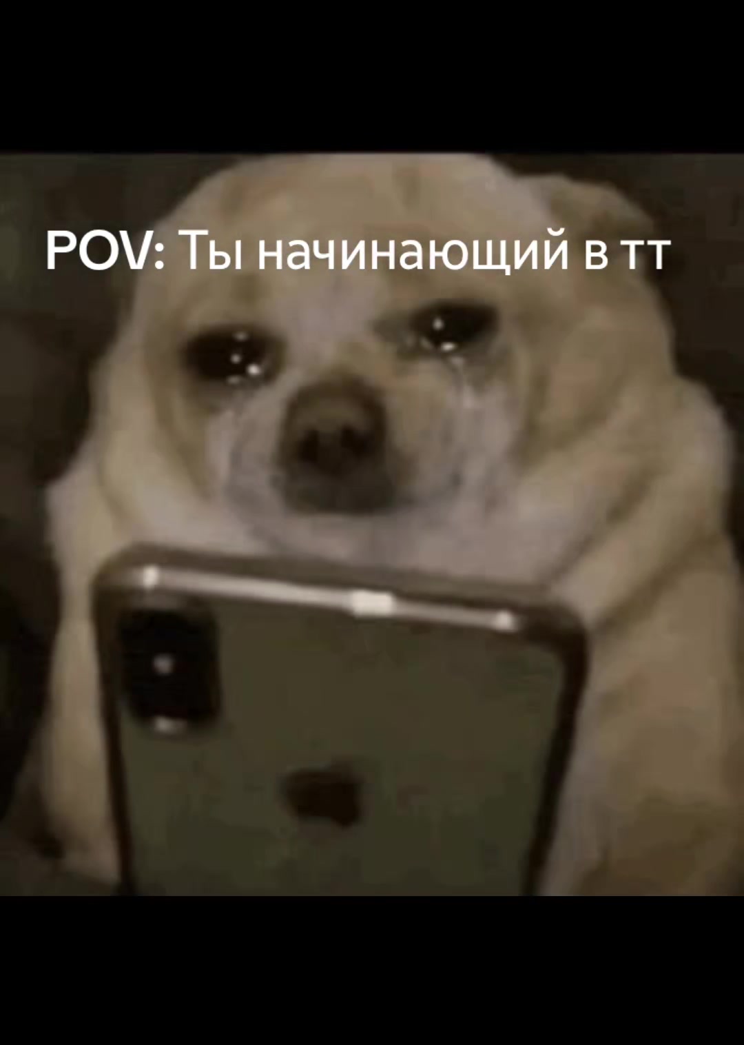 @𝓹𝓪𝓲𝔃𝓸𝓿𝓪