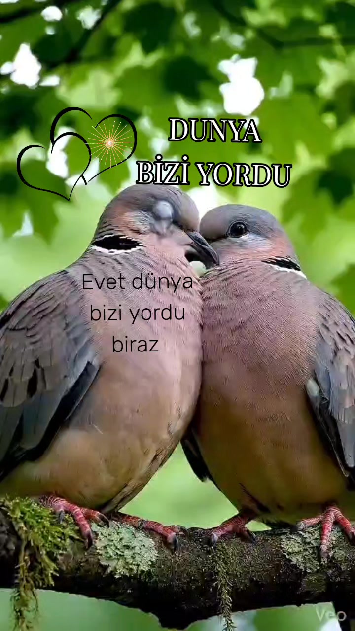 @💚NAKŞİ💜AİLESİ💚EBAG&Uuml;L❤️