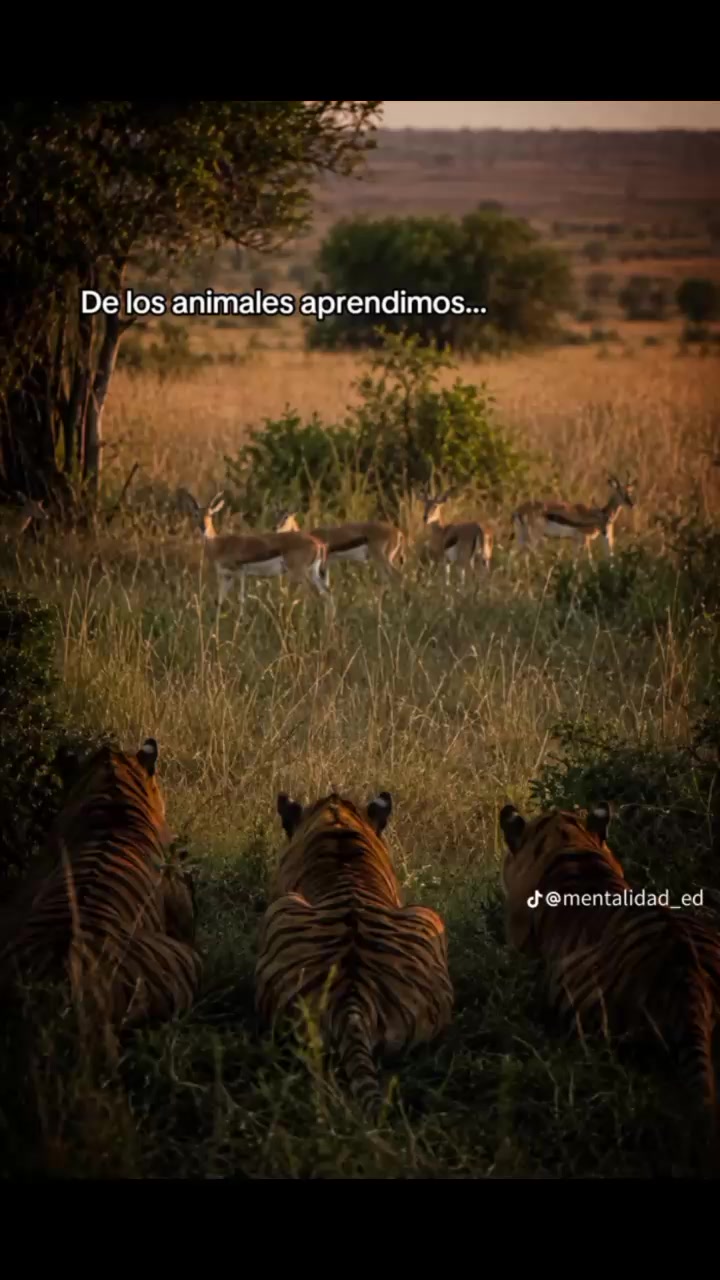 @36_!*;Jc