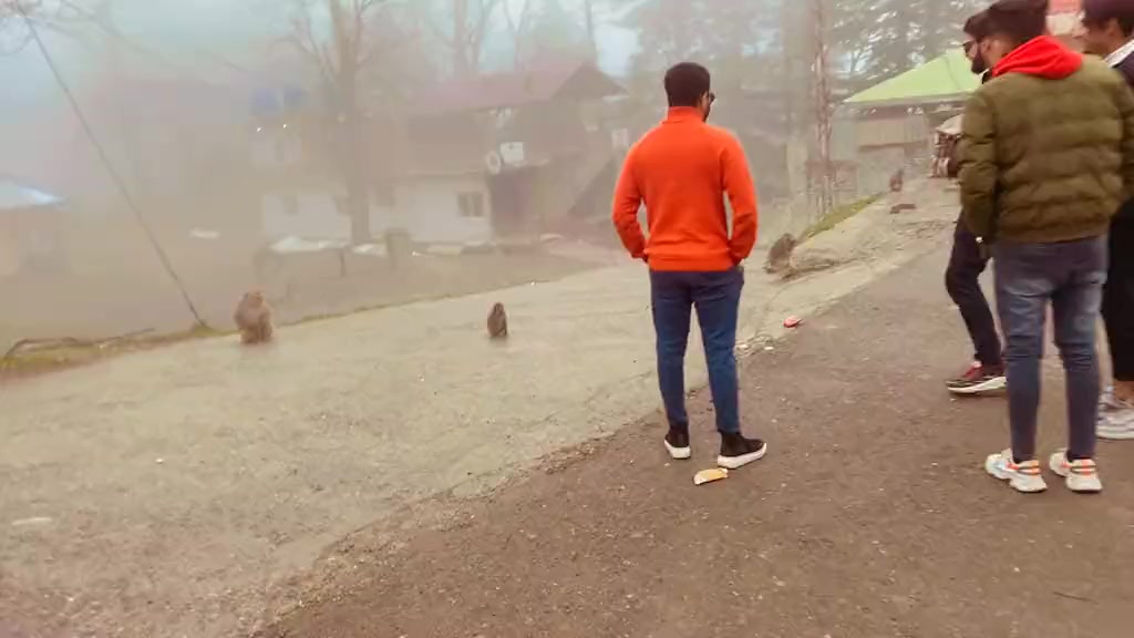 @Travel With Sufyan 🏔️♥️
