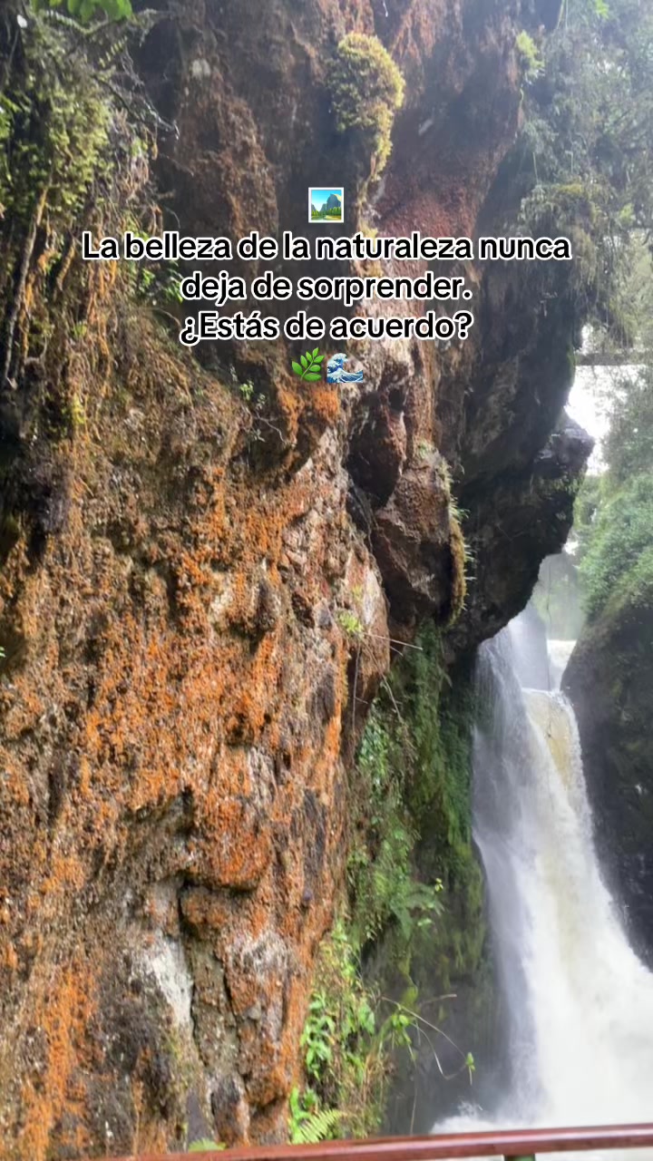 @⚔️MaryTravel Ec🌎🇪🇨