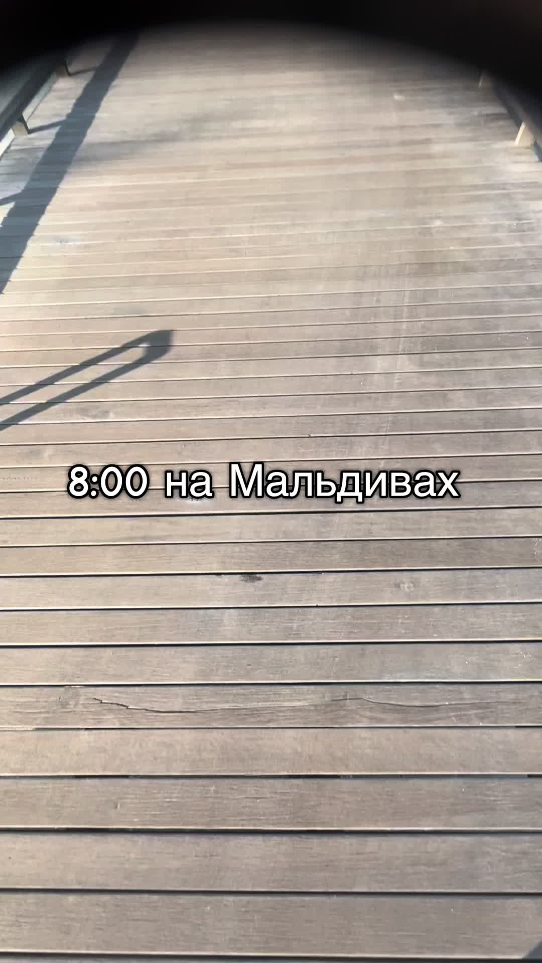 @Margis6767